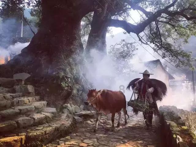 本宫来自古代